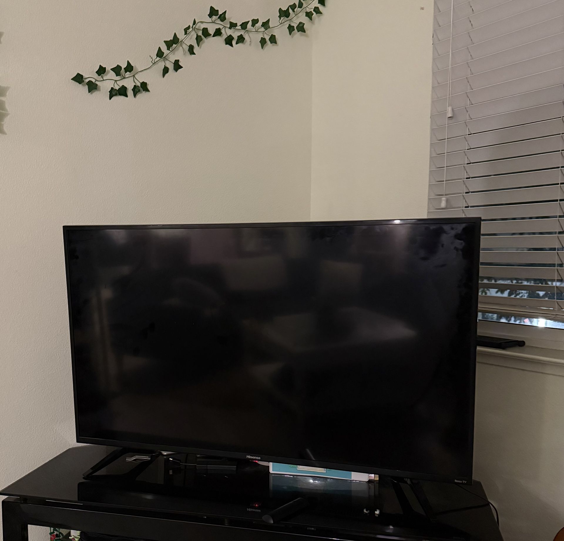 50in Roku TV $200 (obo)