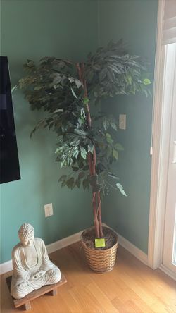 faux ficus tree