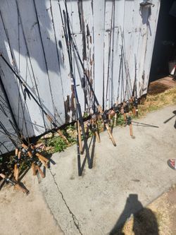 Fishing rods & reels