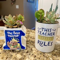 Teacher Appreciation Week Ceramic Mugs Filled with Live Succulents. Great gifts! - $7 Each 