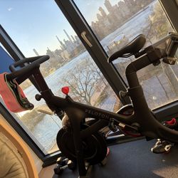 Peloton Bike + 