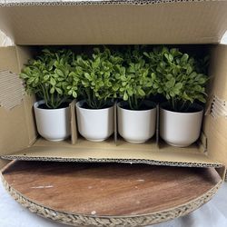 Potted Faux Plants For Indoor Decoration Set Of 4.