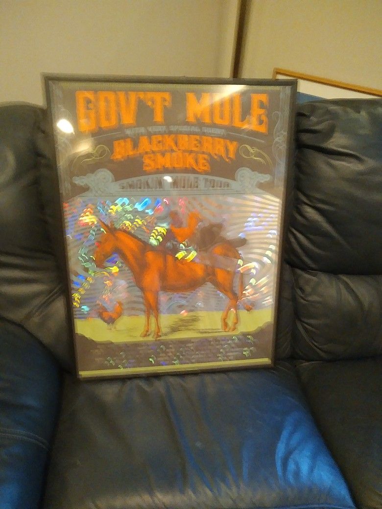 GOV ' T. MULE. POSTER. FRAMED