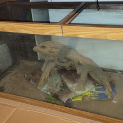 75gal Fish Tank Only, No Lid, No Decorations. $1/GAL 