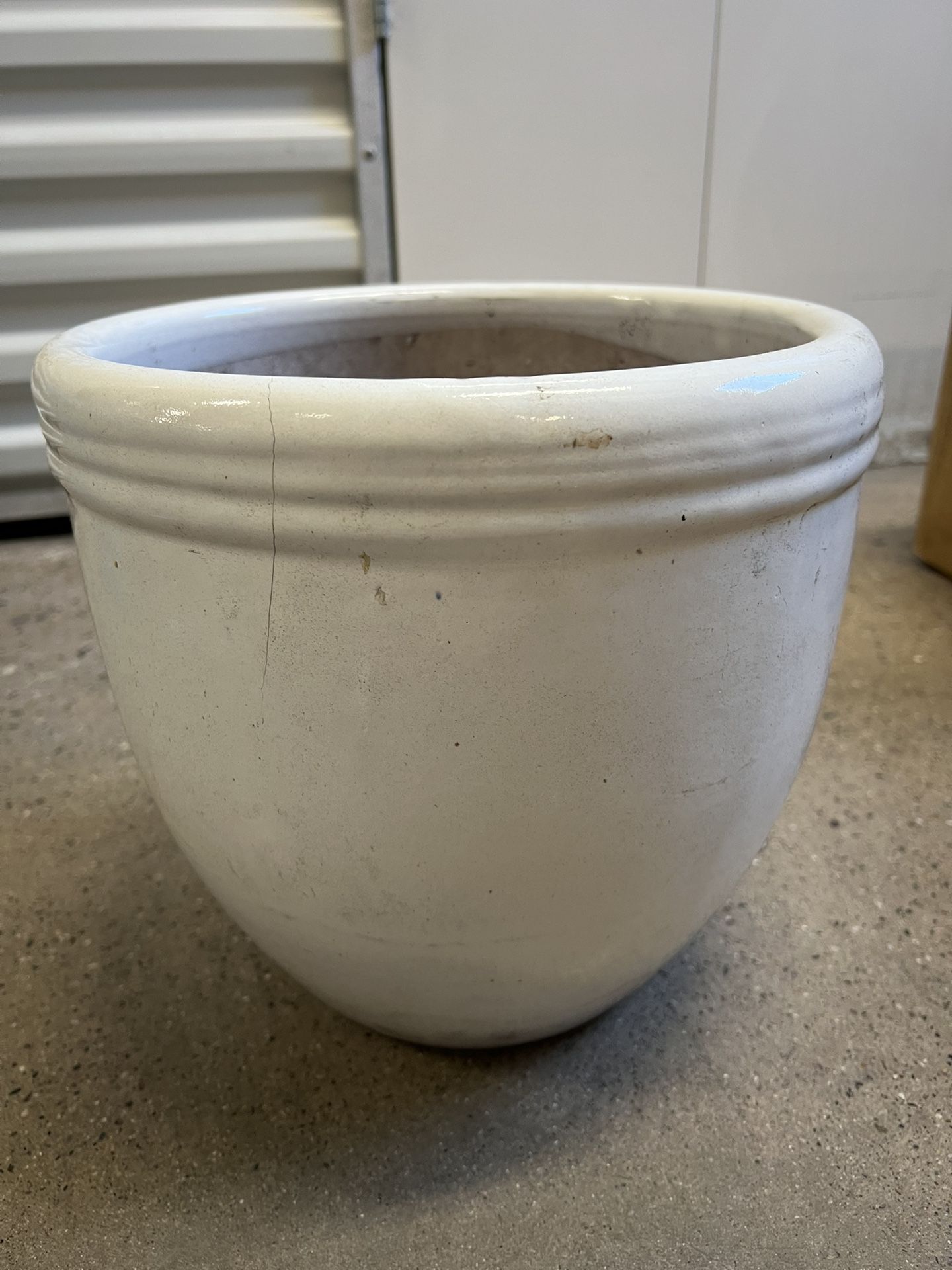 Plant Pot