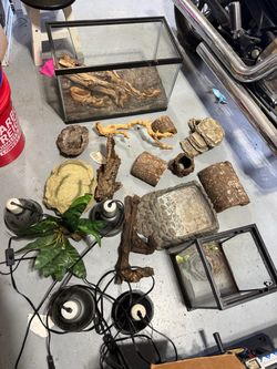 Reptile Supplies