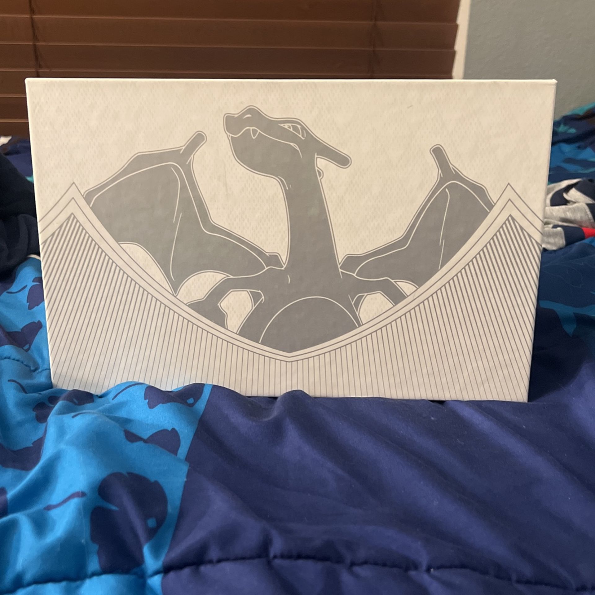Mystery Basic Pokémon Card Box 
