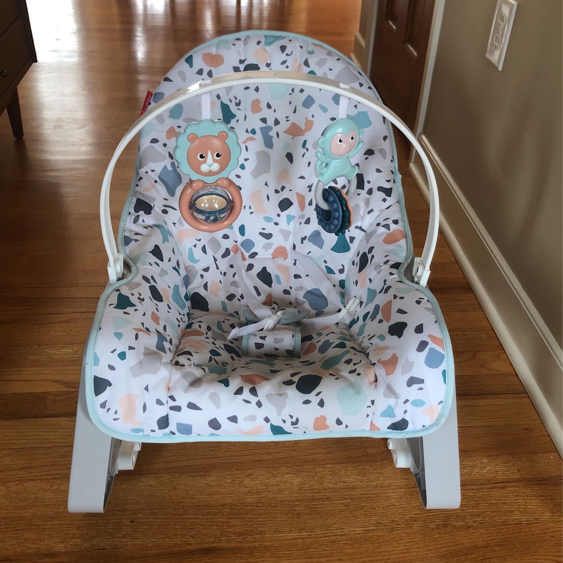 Baby Rocker Can Hold Up To Toddler