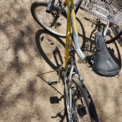 Bike  Mownntin  24inch 12SPEED  DISC BREAK  NEW TIRES AND TUBES WORK PERFECT EVERYTHING IS GOOD