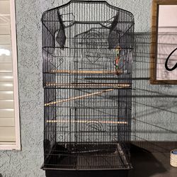 Bird Cage