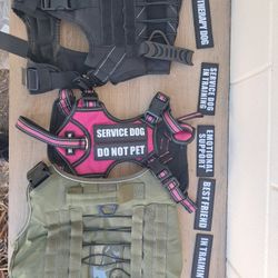 VARIOUS dog Harnesses, Vest, Collars And More! Dog Stairs, Automatic Pet Feeder