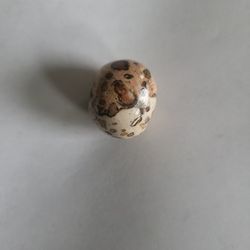Leopardite