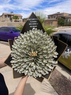 Money bouquet💵🎉