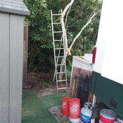 Ladder 20 Foot