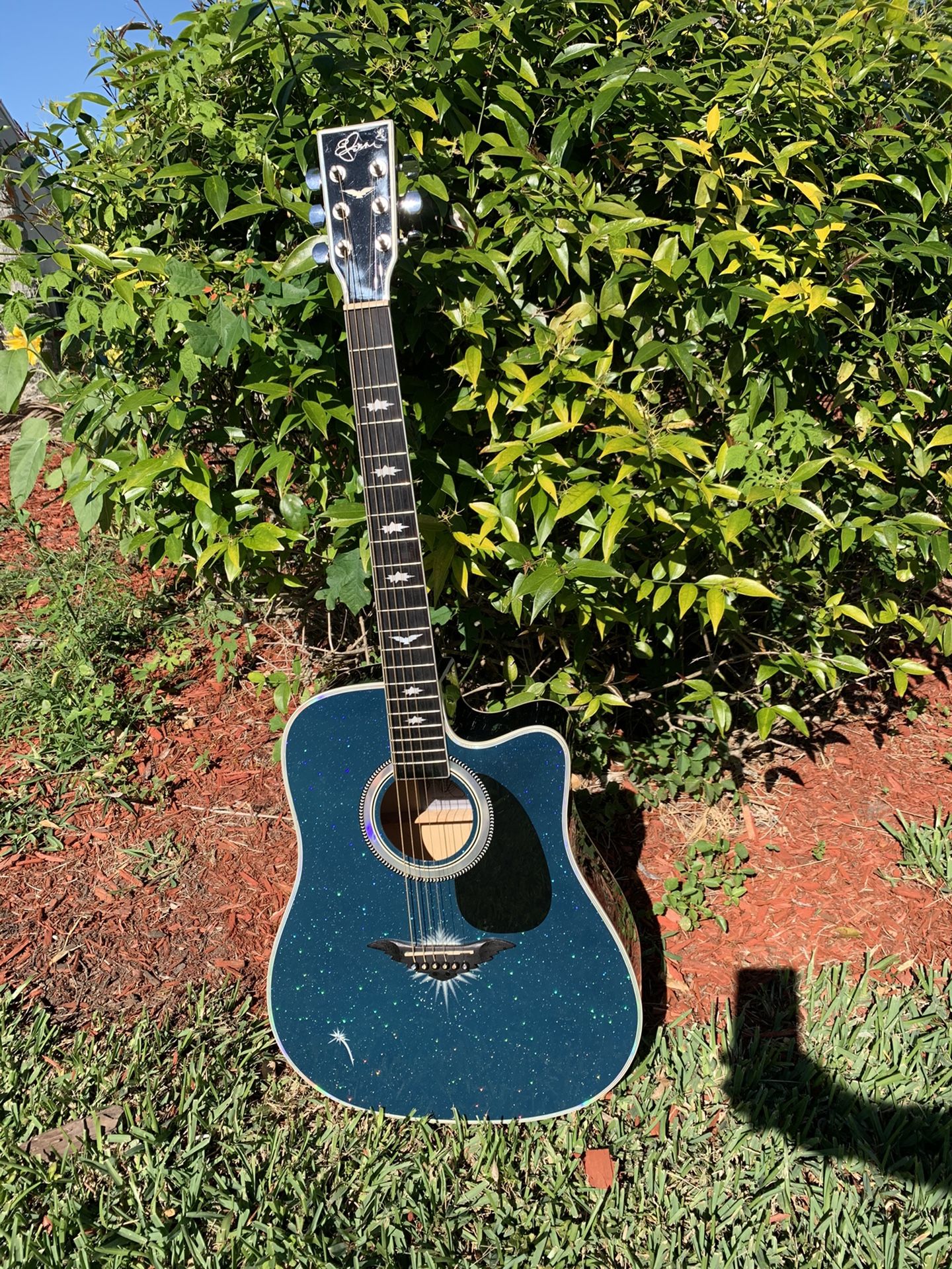 Acoustic guitar Blue