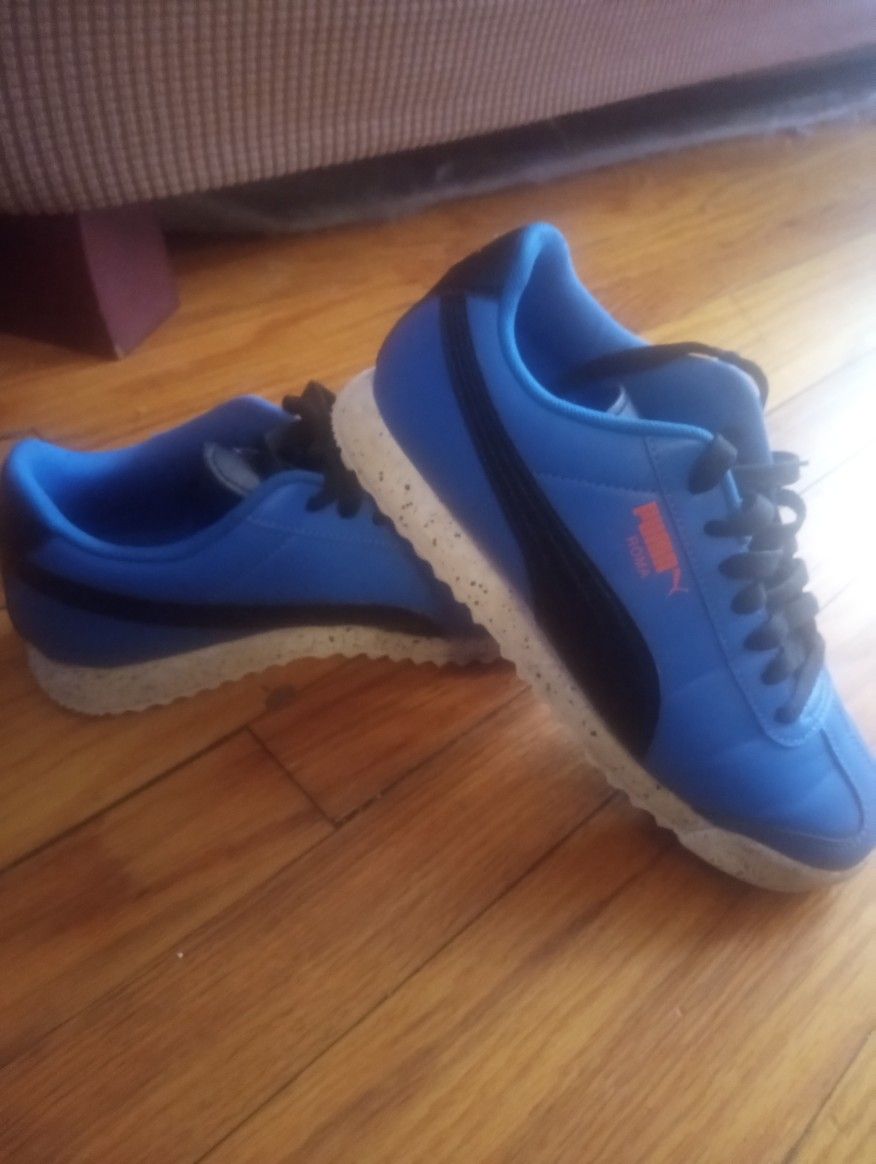 Pumas