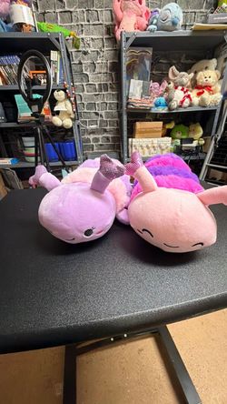 Valentine’s day caterpillars