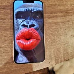 Apple iPhone 14 (128 GB) Unlocked Excellent Used Condition - Fast Shipping