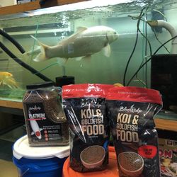 Premium Koi Food