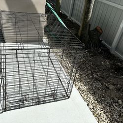 Dog Kennel