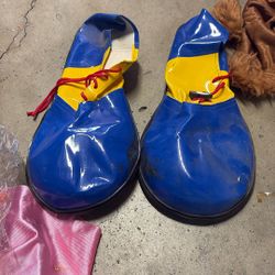 Shoes Costume