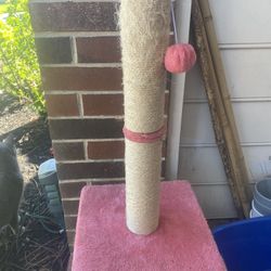 Cat Scratcher