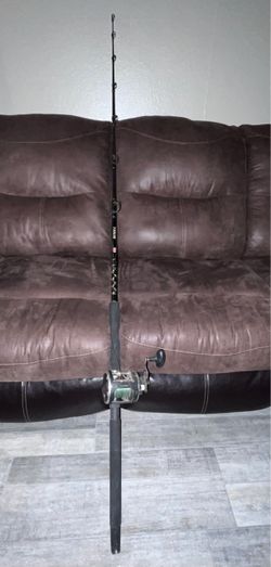 Penn Bait Caster