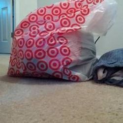 Large Bag of Women's Clothing 