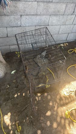 Dog cage