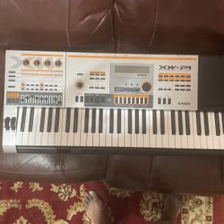 XW-PI Hybrid Processing Sound Source