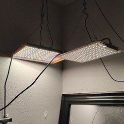 Indoor Grow Lights 
