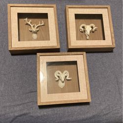 Small Shadow Box Frames Elk Ram Light Wood