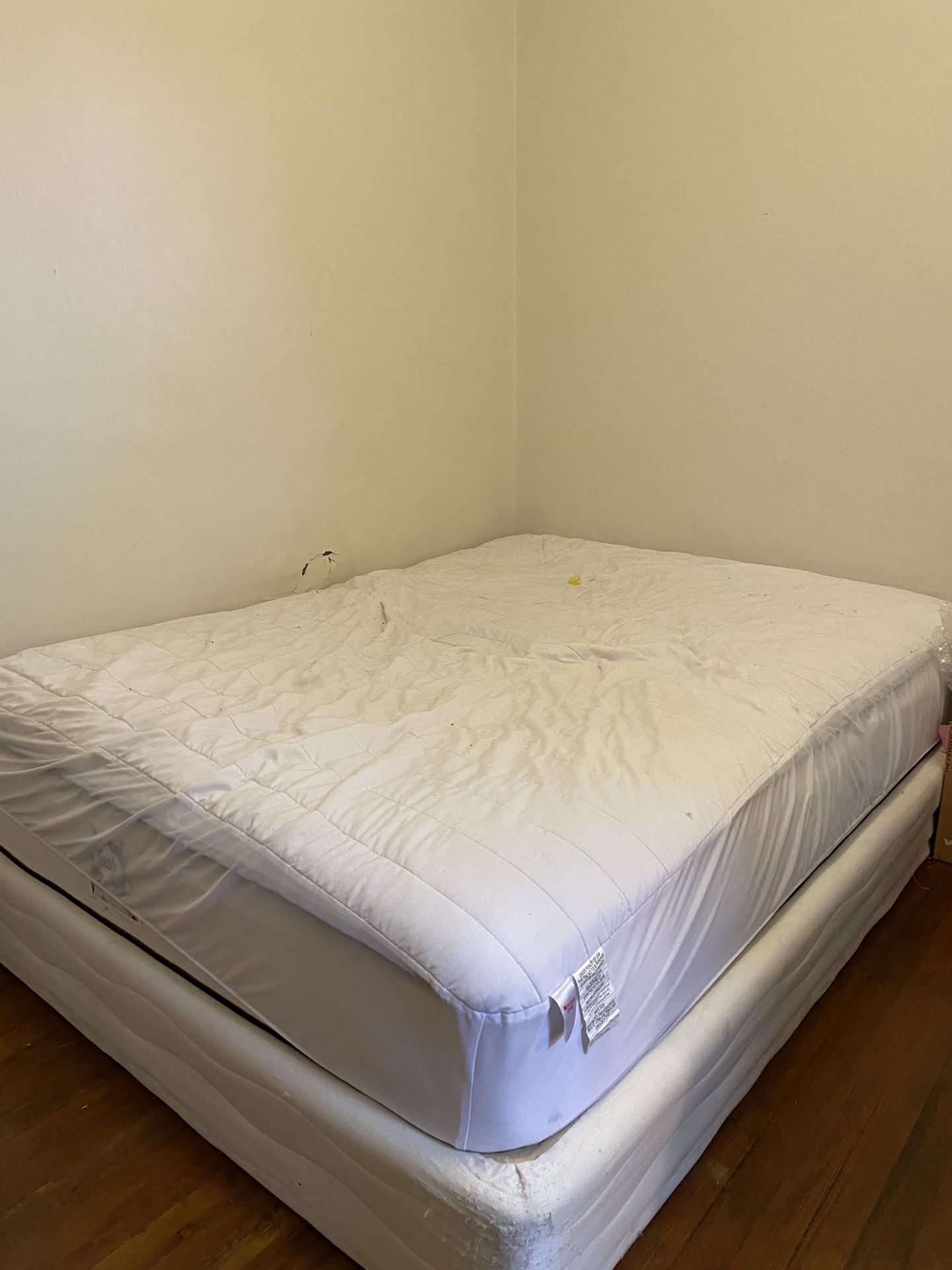 Queen Bed by Sealy