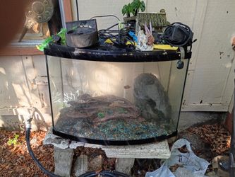 30 gal fish tank
