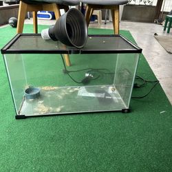 Reptile/fish Tank 