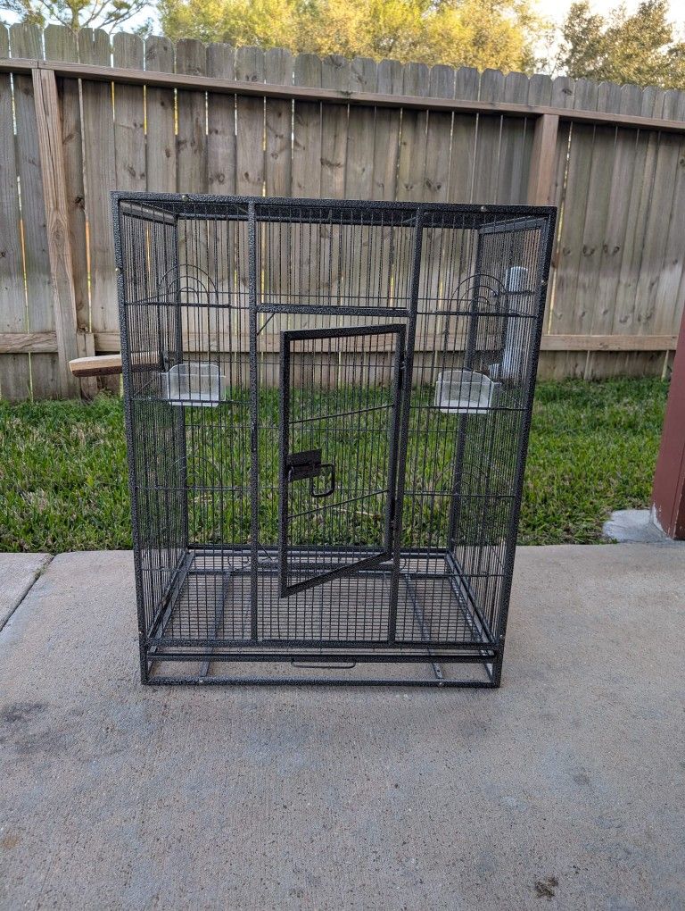 Bird Cage
