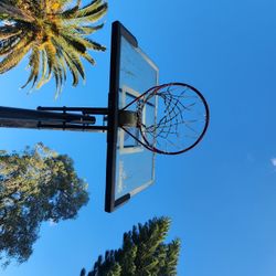 Spalding Basketball Hoop Spalding 54 Inch Portable