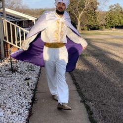 Aladdin Prince Ali Costume Men’s Halloween Costume