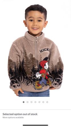 Mickey Sherpa sweater
