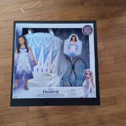 Frozen 2 Elsa Costume