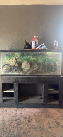 Tank/Tv Stand