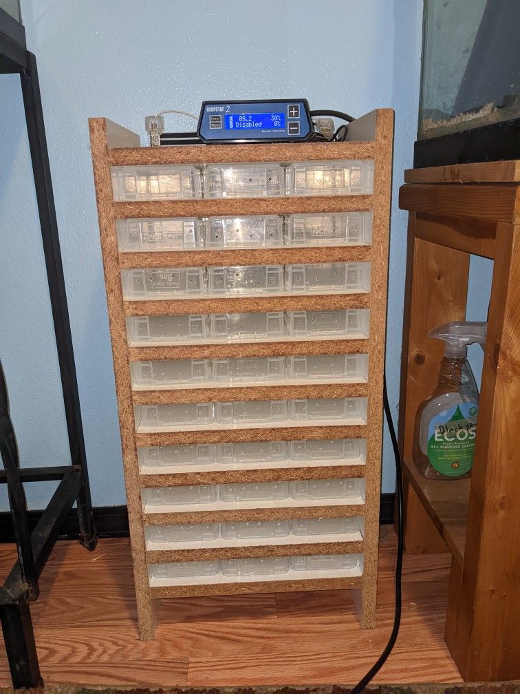 Small Rack For Hatchling Reptiles