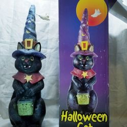 Halloween Witch Cat large 30"