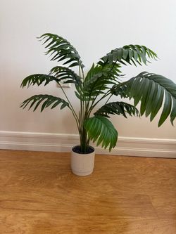 House decor items