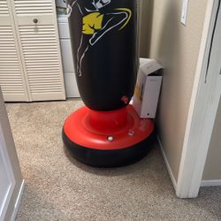 Inflated Punching Bag