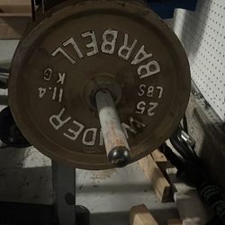 Standard 25 weights