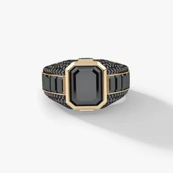 Midnight Crest Men’s Ring