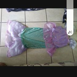 Lillte Mermaid Costoum