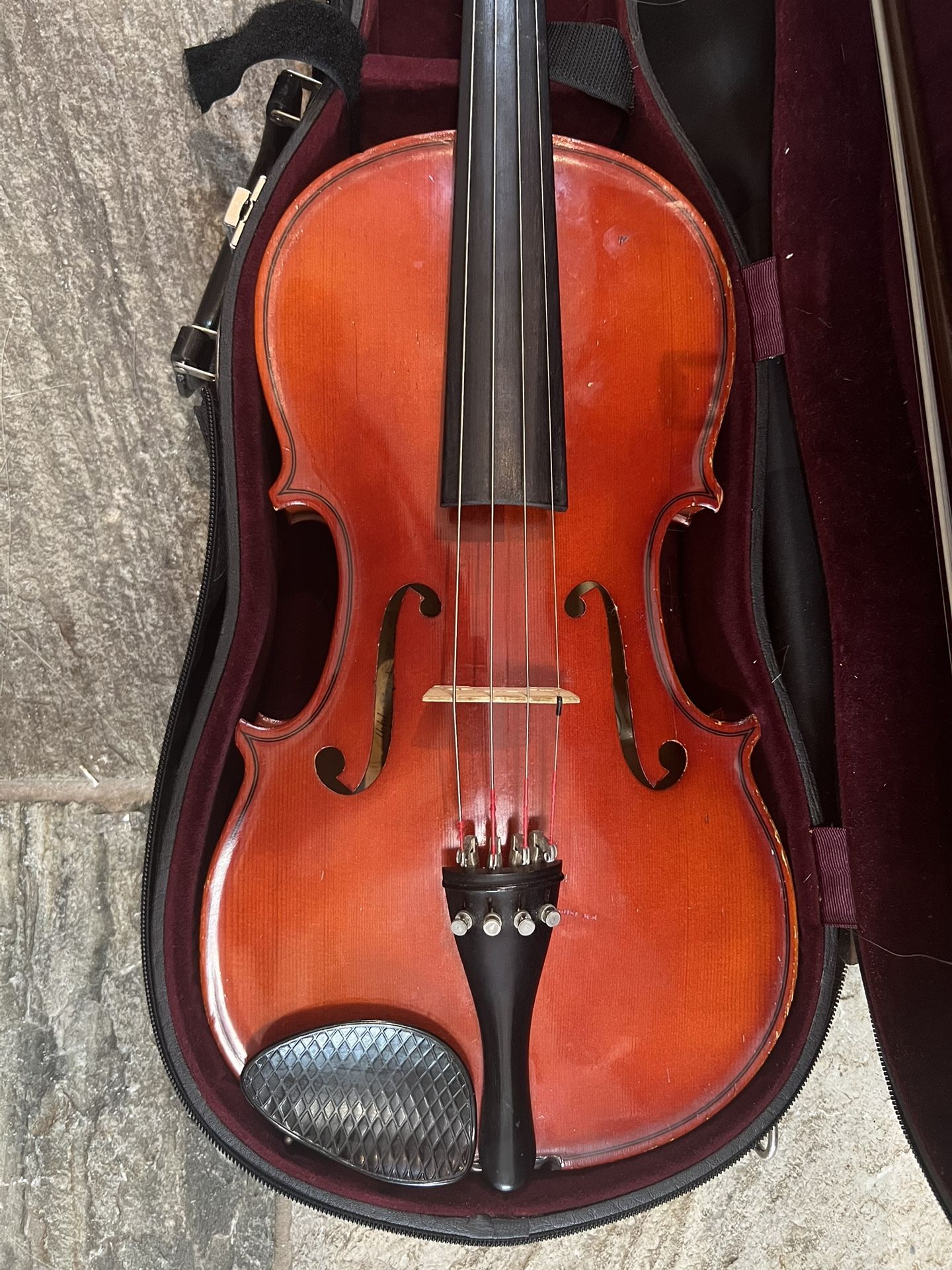16” Viola
