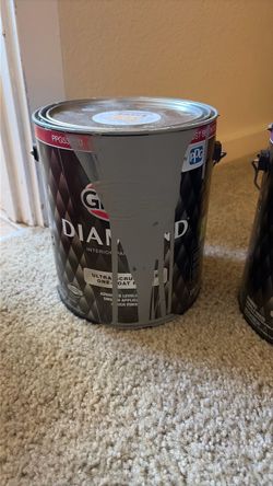 FREE diamond interior paint, half full